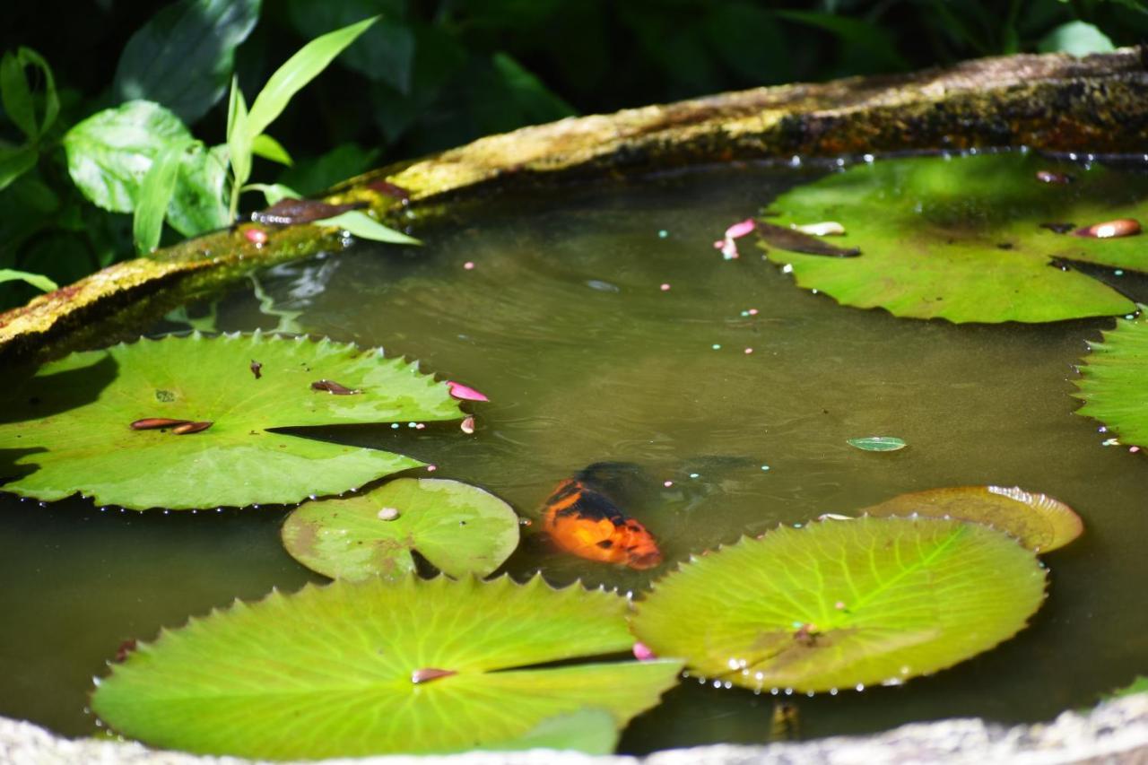 Srishti Homestay Madikeri Buitenkant foto